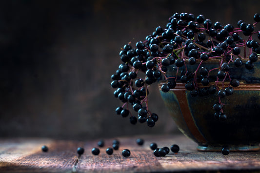 Next Level Elderberry Syrup