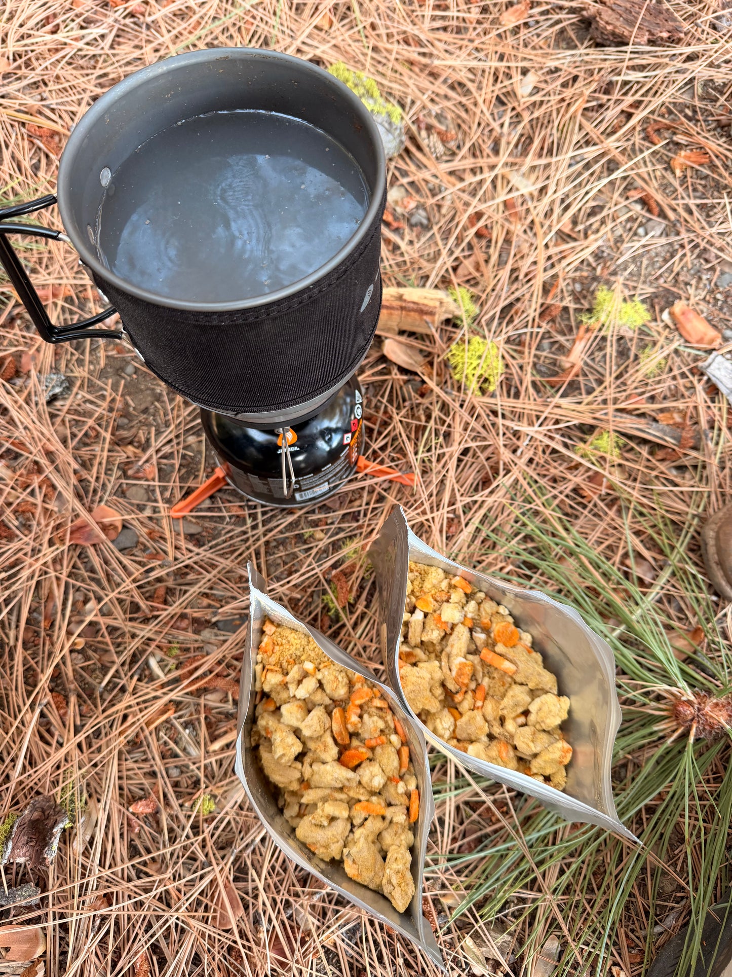Backcountry Broth Bowl — Chicken Umami with Shiitake + Orzo