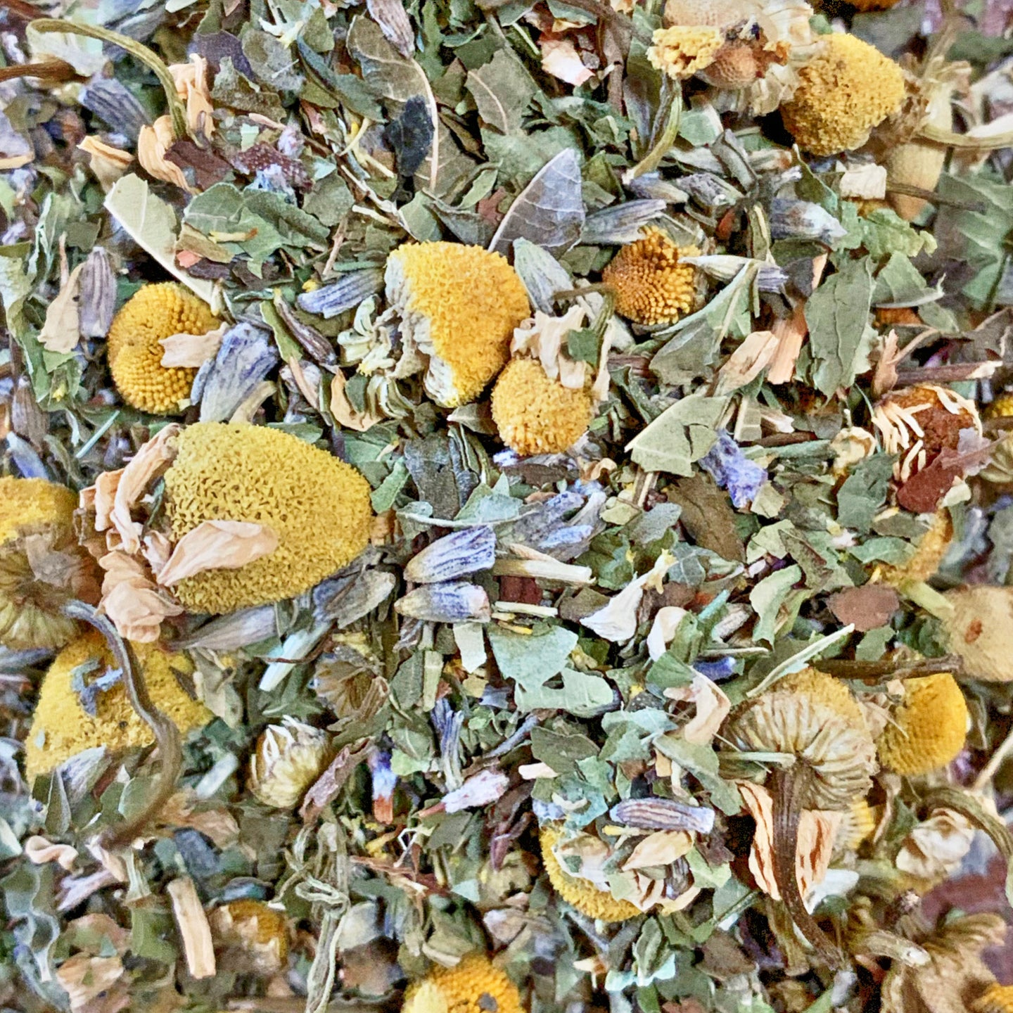 Star Babes Tea